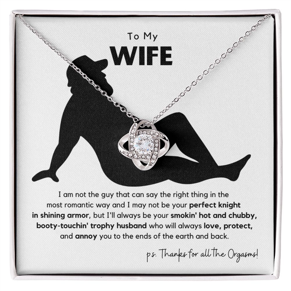 Funny Gift for Wife or Soulmate from Smokin' Hot & Chubby Husband, To My Wife Birthday Gift, Perfect as an Anniversary, Birthday or Valentine's Day Gift with FREE Earrings
